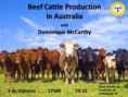 /album/historico-de-eventos/beef-cattle-production-jpg/